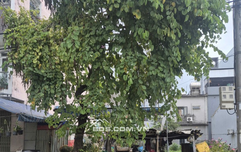 Bán đất đường 7,5m Đinh Đức Thiện - trục thông Hồ Tùng Mậu